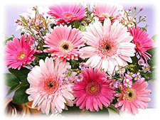 flower ʯ��ׯ�ʻ�-ʯ��ׯ����-ʯ��ׯ�ͻ�-ʯ��ׯ�ʻ���-ʯ��ׯ����-ʯ��ׯ��